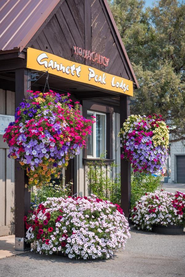 Gannett Peak Lodge Pinedale Exteriér fotografie